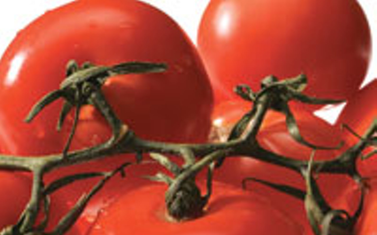 Help tomatoes beat the heat