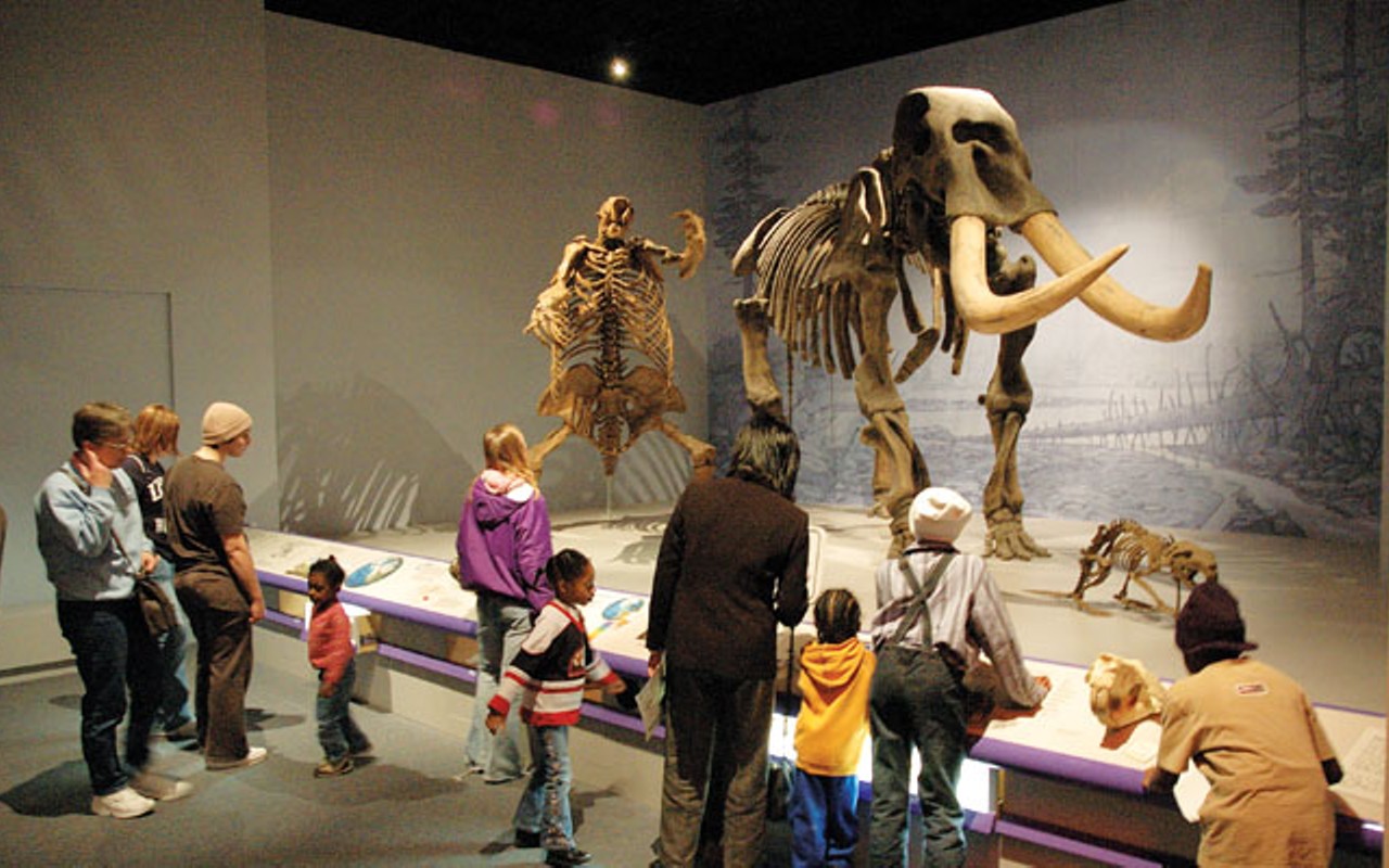 Museum outings for families