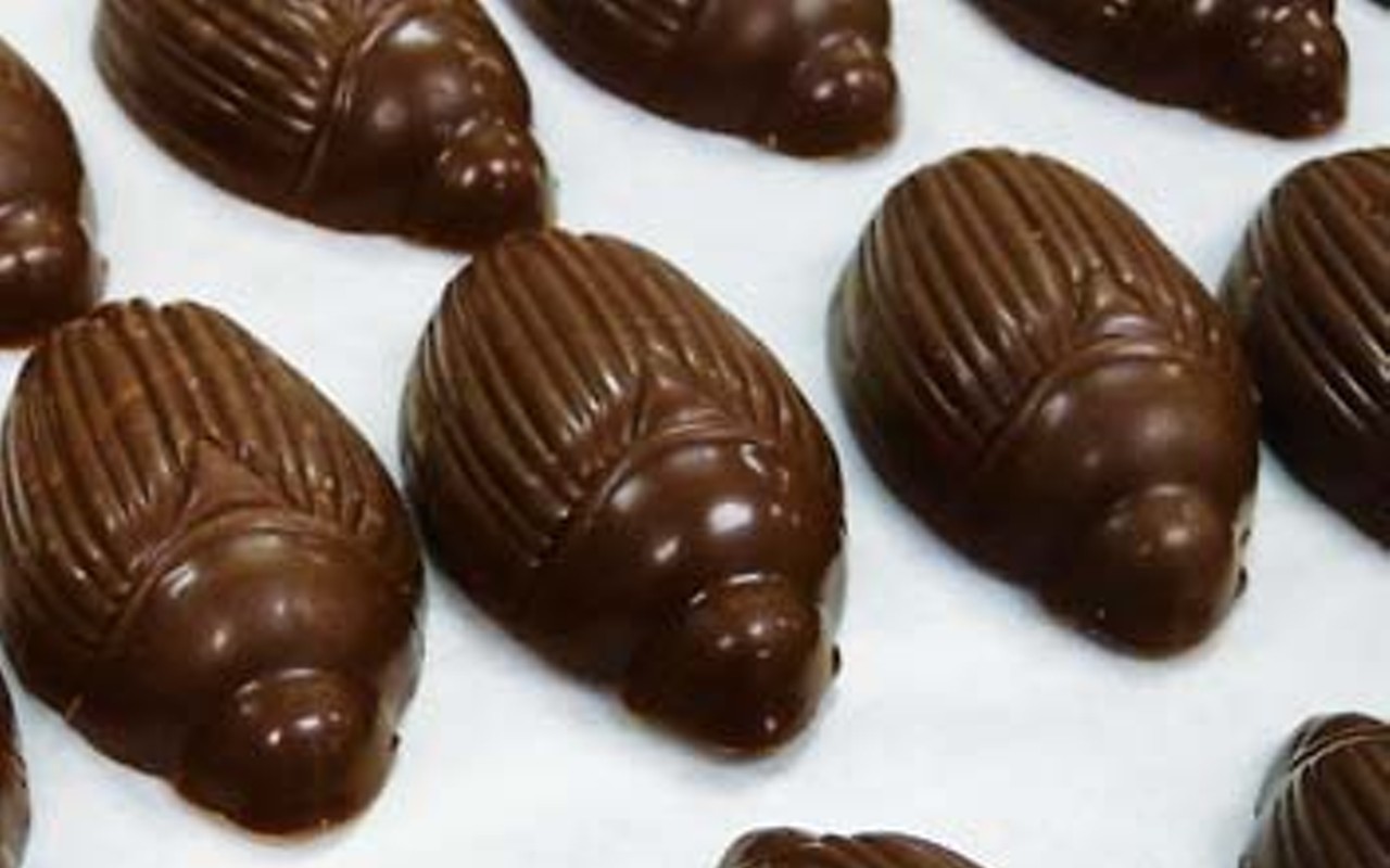 Chocolate cockroaches, a 19th-century treat