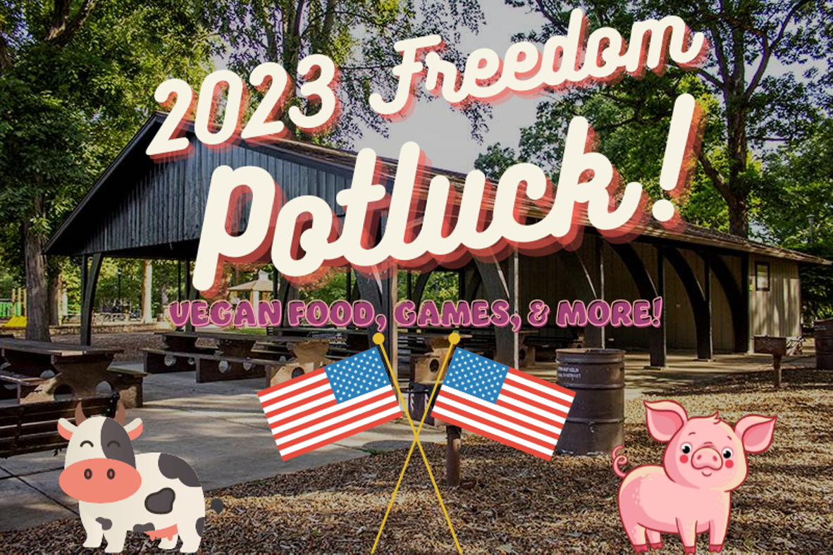 2023 Freedom Potluck - Vegan Food, Games, and More!