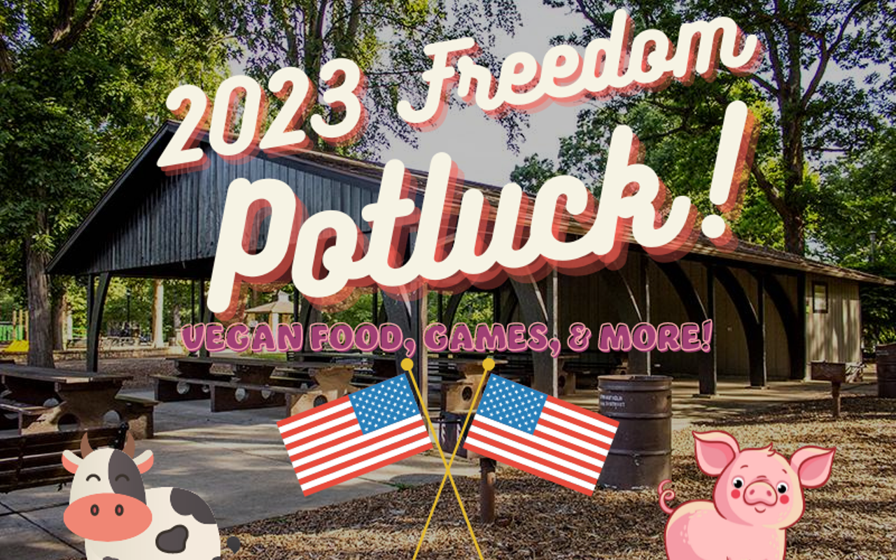 Image: 2023 Freedom Potluck