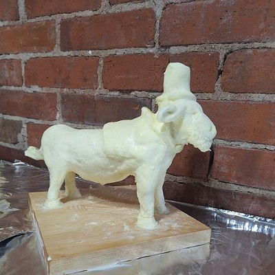 2024 Miniature Butter Cow Contest