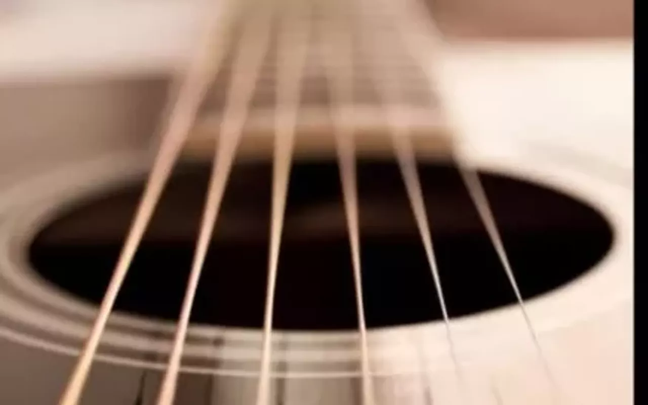 Image: Acoustic Avenue featuring Brad Hursh and David Sample