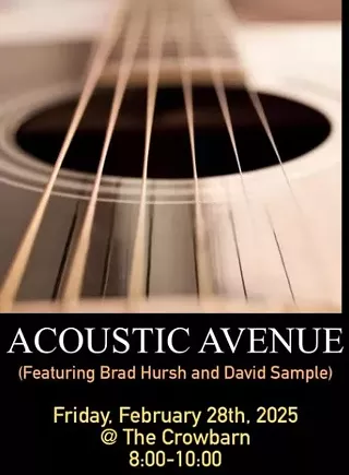 Image: Acoustic Avenue featuring Brad Hursh and David Sample
