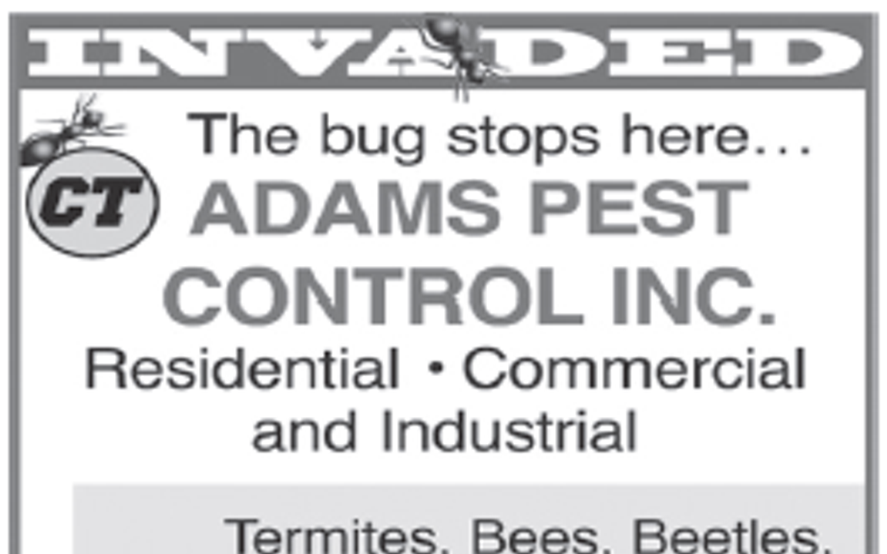 Image: Sonny Adams Pest Control