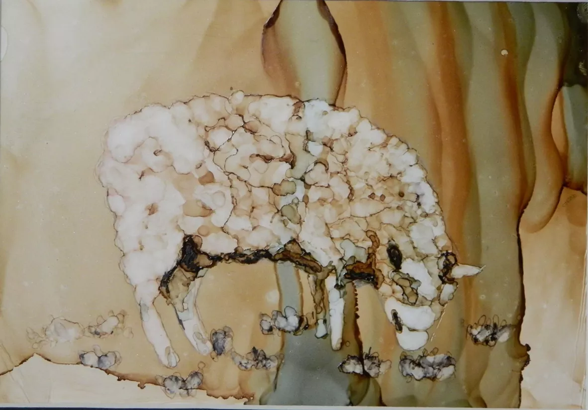 Ewe Grazing