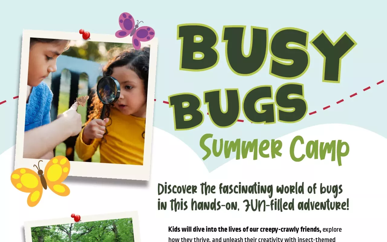 Image: Busy Bugs Summer Camp