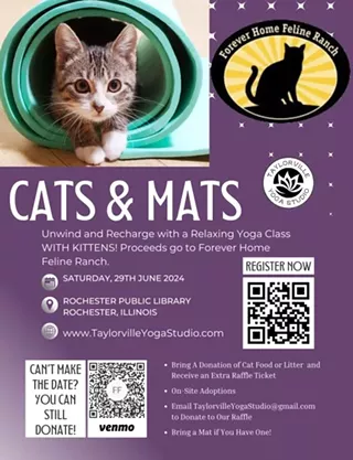 Image: Cats & Mats