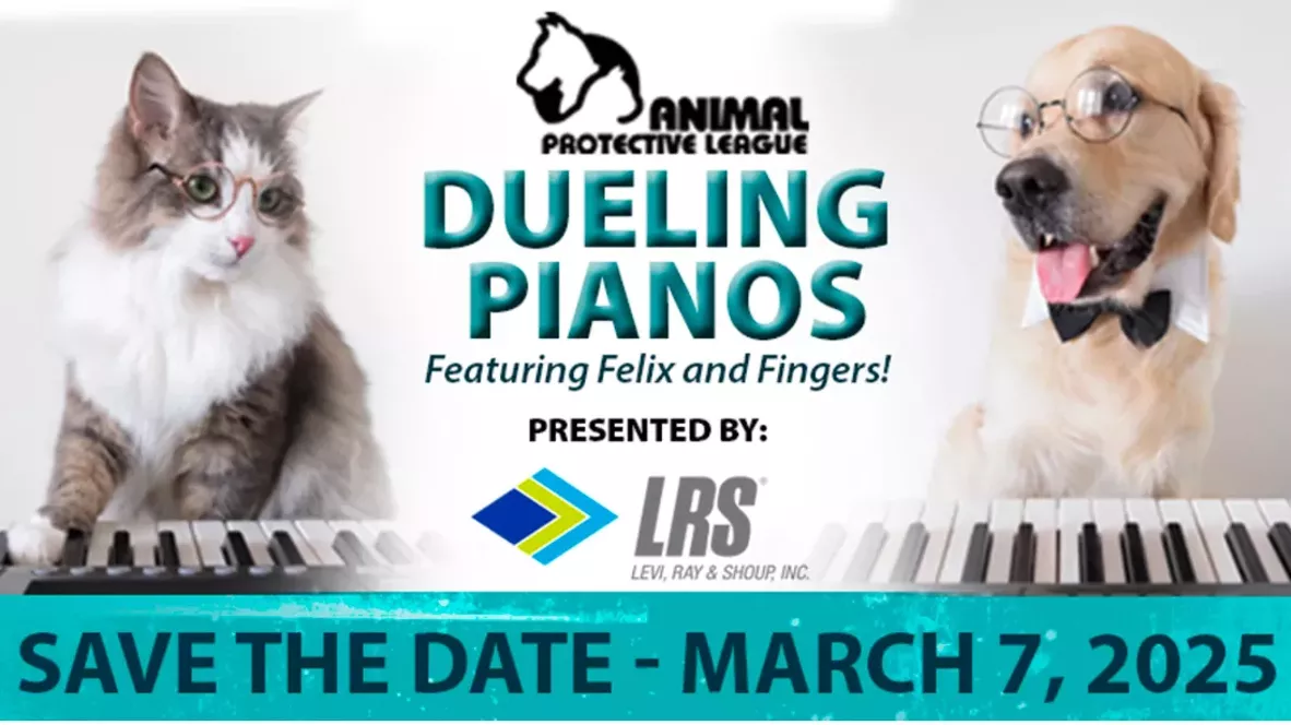 Dueling Pianos