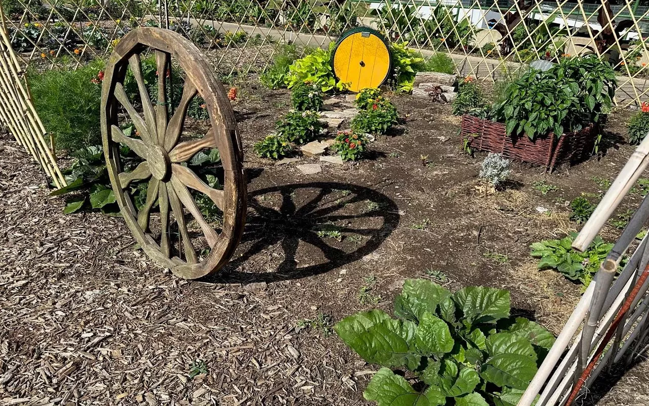 Image: Evening In The Garden programs