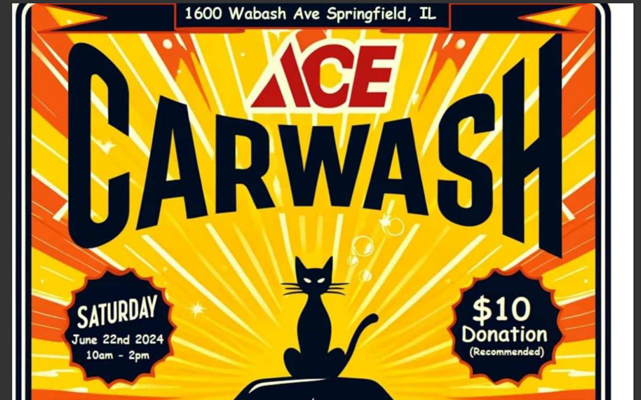 Image: Forever Home Feline Ranch Annual Car Wash