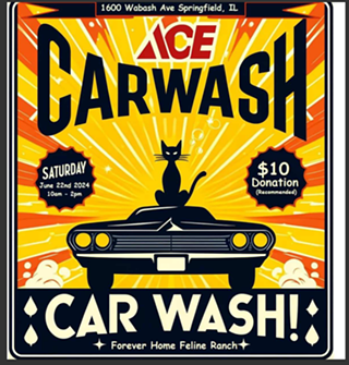 Image: Forever Home Feline Ranch Annual Car Wash