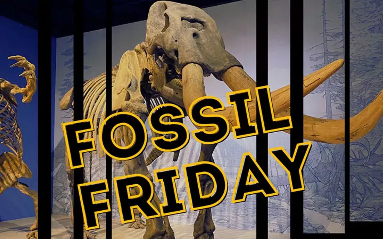 Image: Fossil Friday