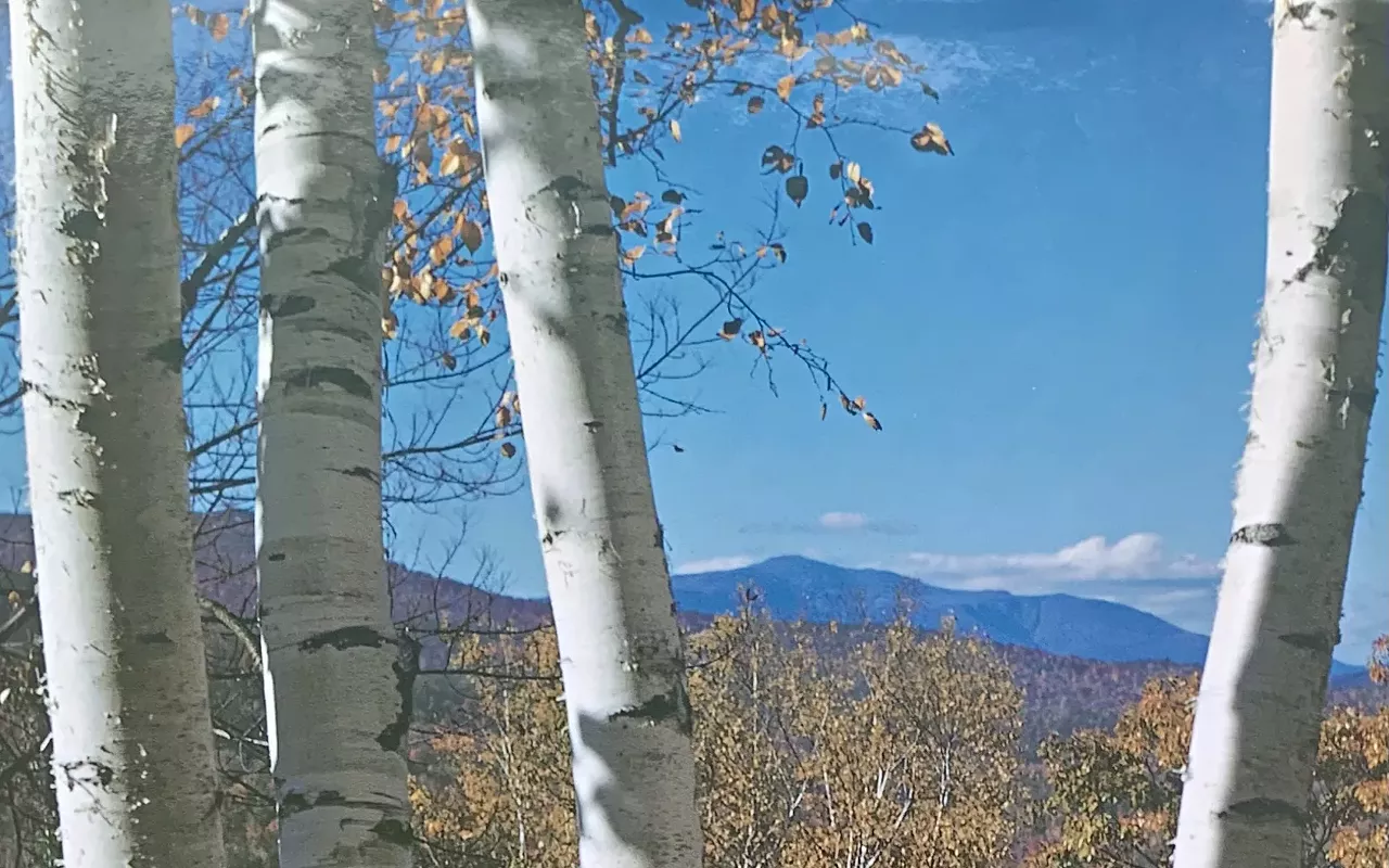 Image: Hike, Lunch & Learn