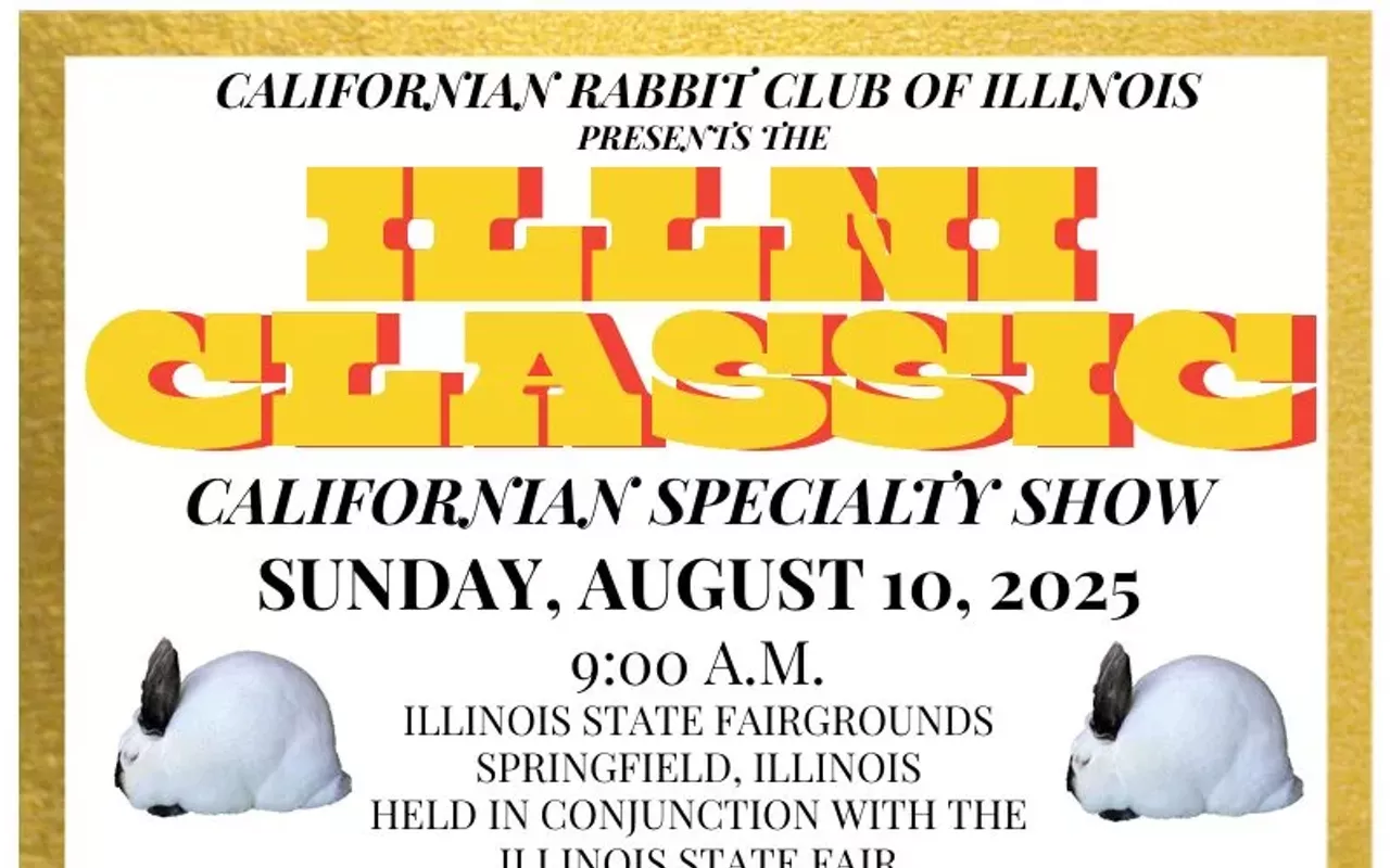 Image: Illini Classic Californian Rabbit Specialty Show