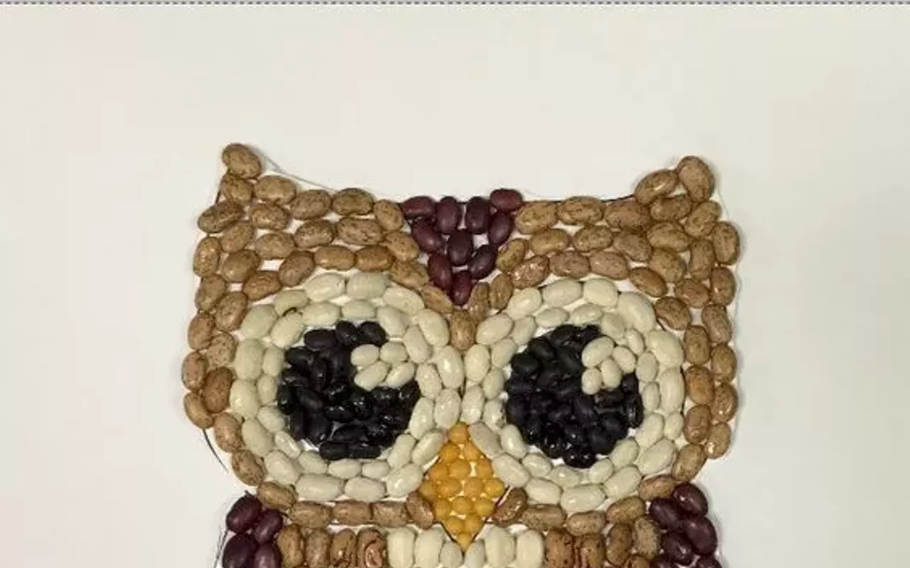 Image: Kids' craft: Fall Seed Mosaic
