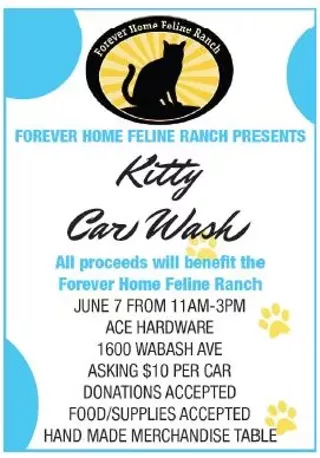 Image: Kitty Car Wash