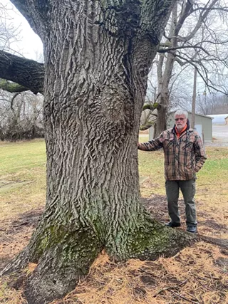 Image: Managing Legacy Trees