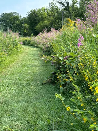 Image: Monthly Prairie Hikes