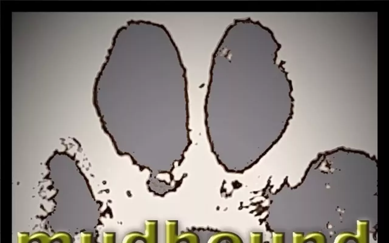Image: Mudhound