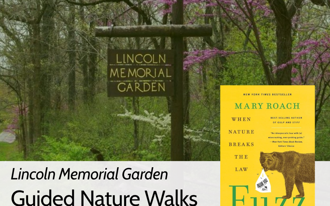 Image: Nature Walks at Lincoln Memorial Garden