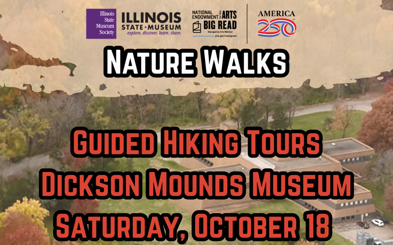 Image: Nature Walks