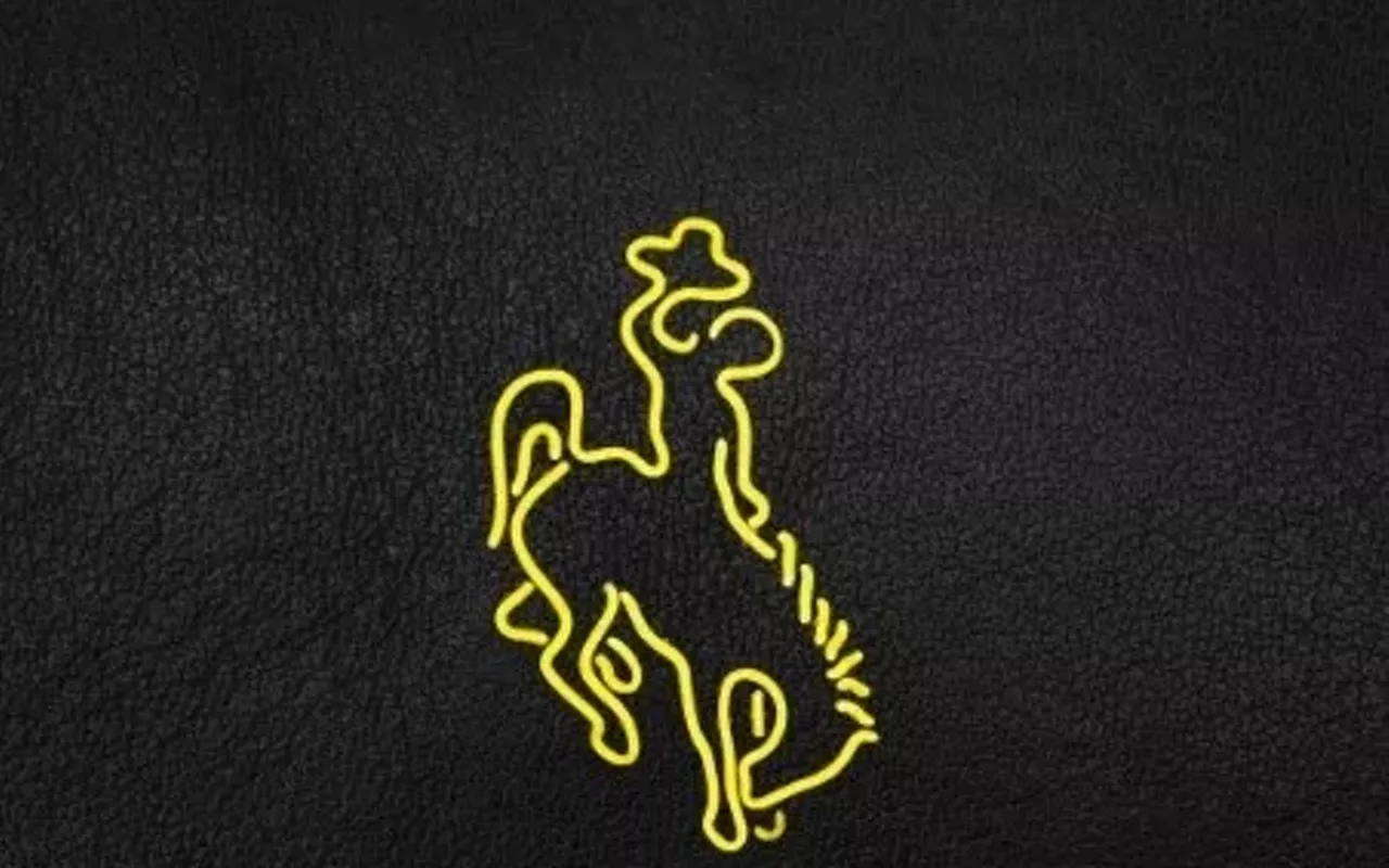 Image: Neon Rodeo