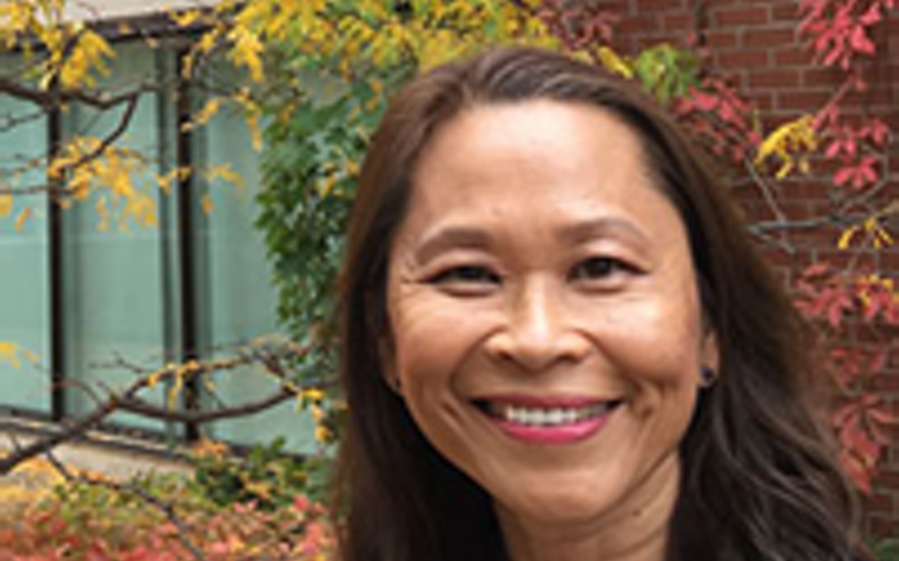Image: Our Dreams, Ourselves: Asian American Comics & Young Adult Self-Empowerment