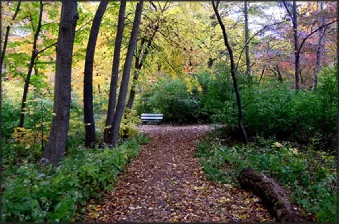 lincoln_memorial_garden.webp