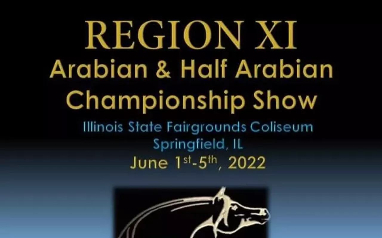 Image: Region XI Arabian and Half Arabian Championship Show