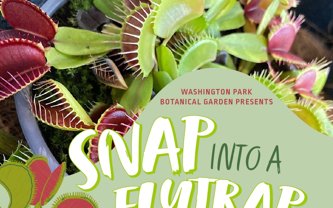 Snap Into A Fly Trap