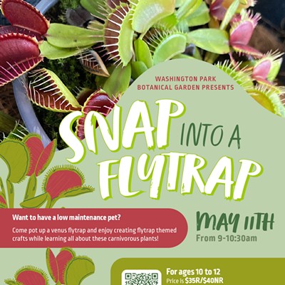 Snap Into A Fly Trap