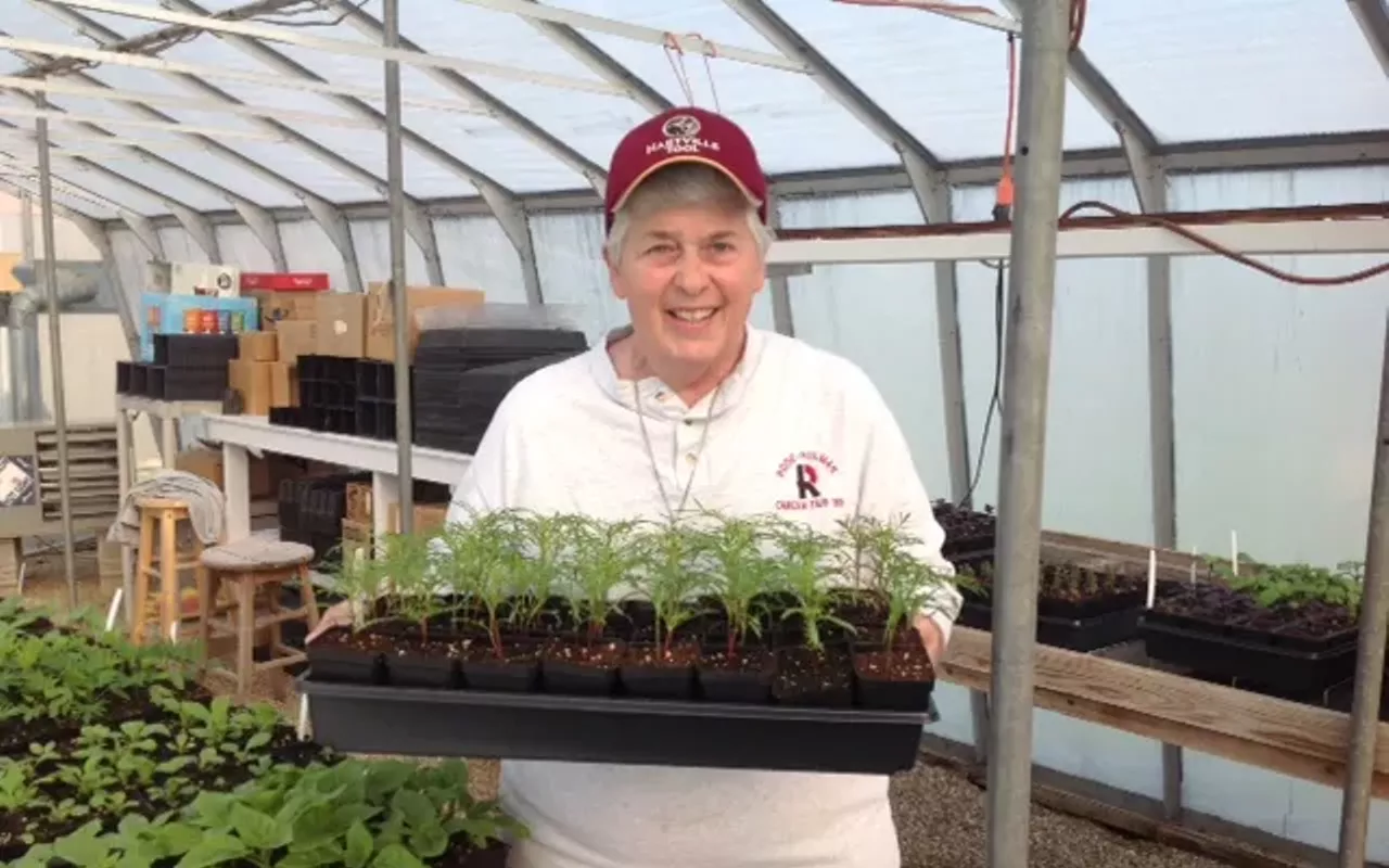 Image: Spring seedling sale