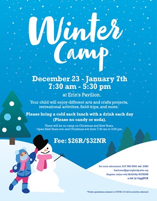 Springfield Park District Winter Camp