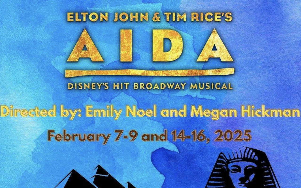 Image: Springfield Theatre Centre's Aida auditions