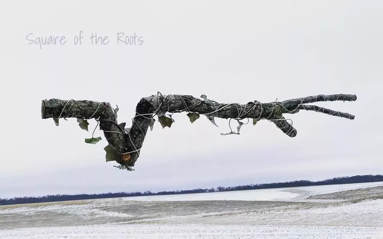 Image: Square of the Roots