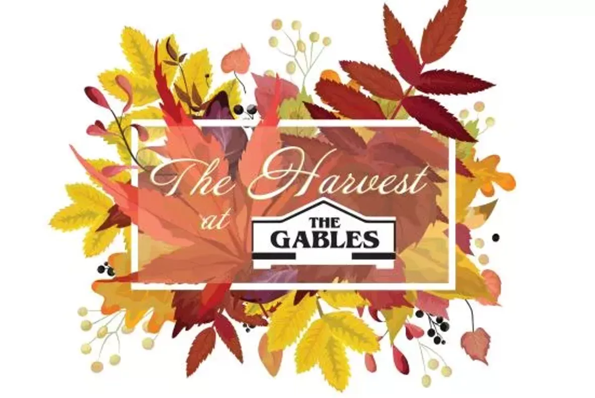 theharvest.webp