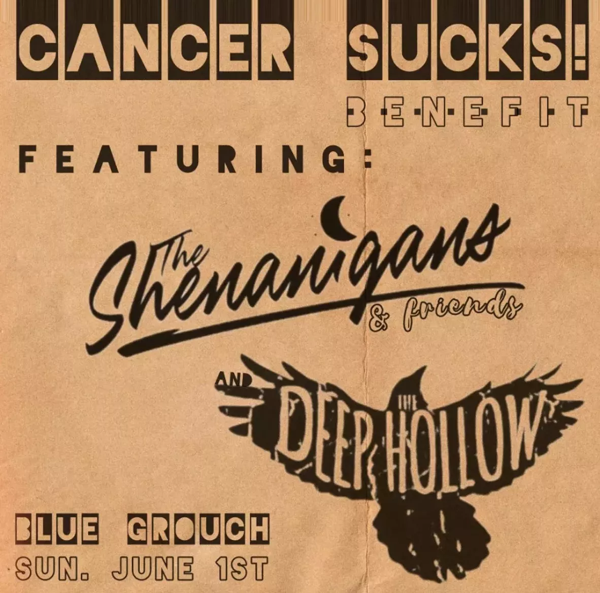 the_shenanigans_deep_hollow.webp