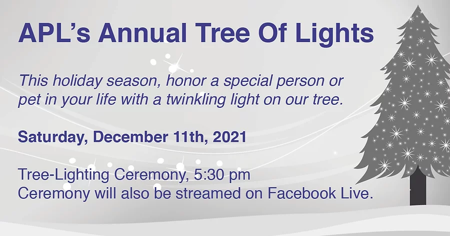 Tree of Lights Ceremony