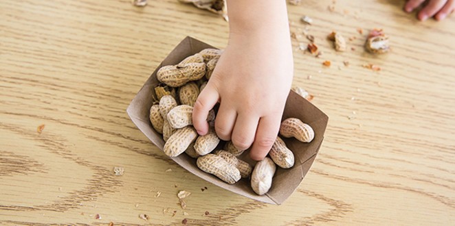 Peanut allergies in children