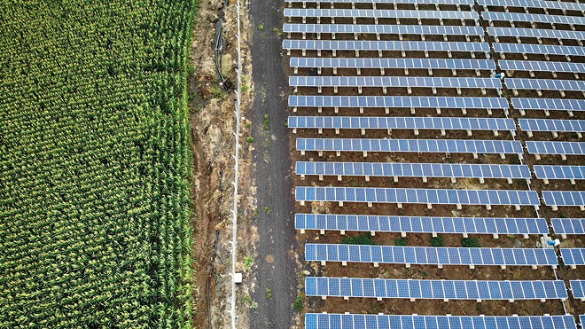 Protect prime farmland from solar