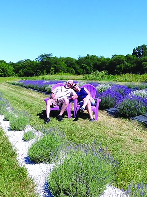 Lavender farms in Illinois