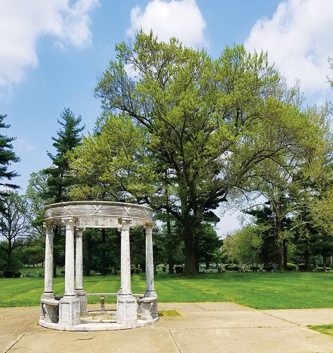 Adopt a tree at Oak Ridge Cemetery