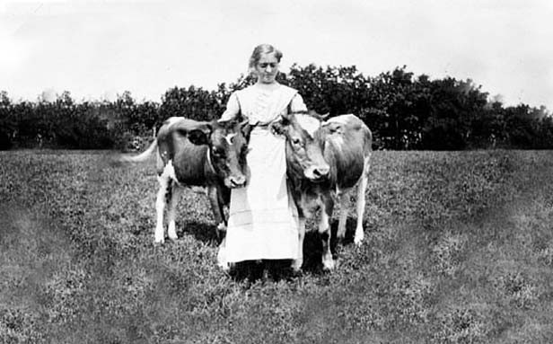 Pioneer life here was hard on women and animals