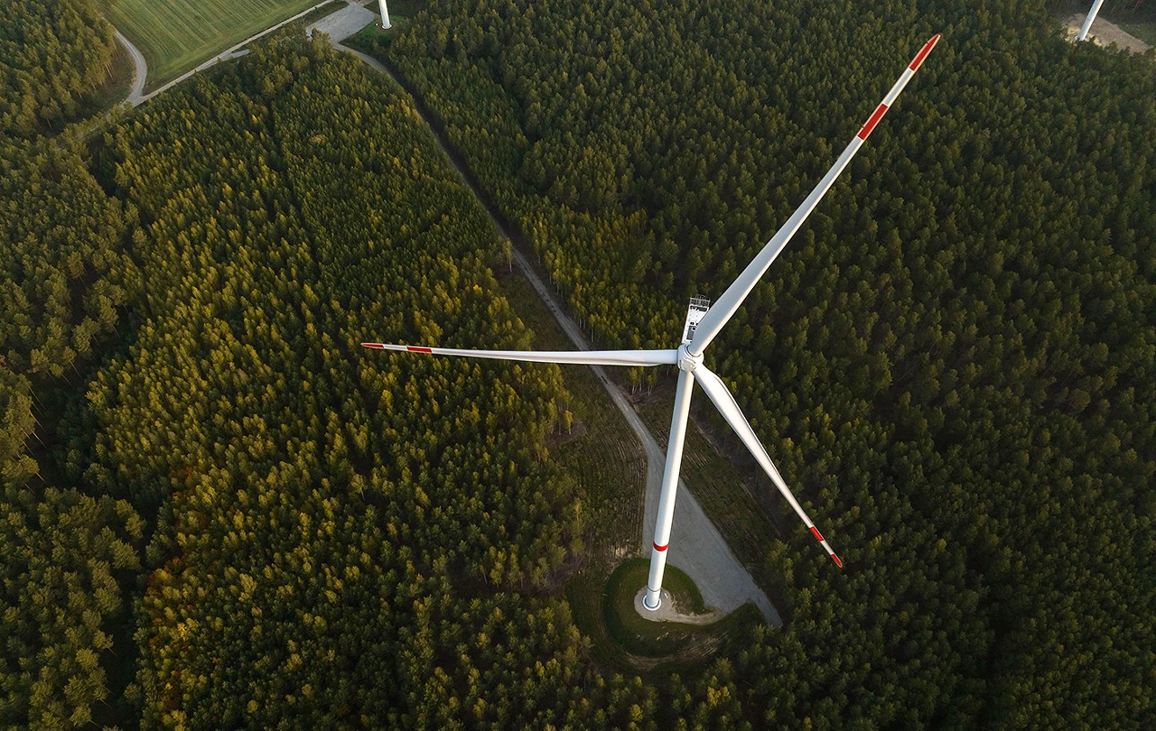 Turbines in their backyard: How a wind farm disrupted life in a