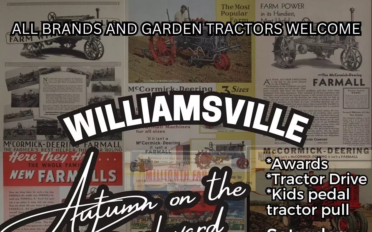 Image: Williamsville Autumn on the Boulevard