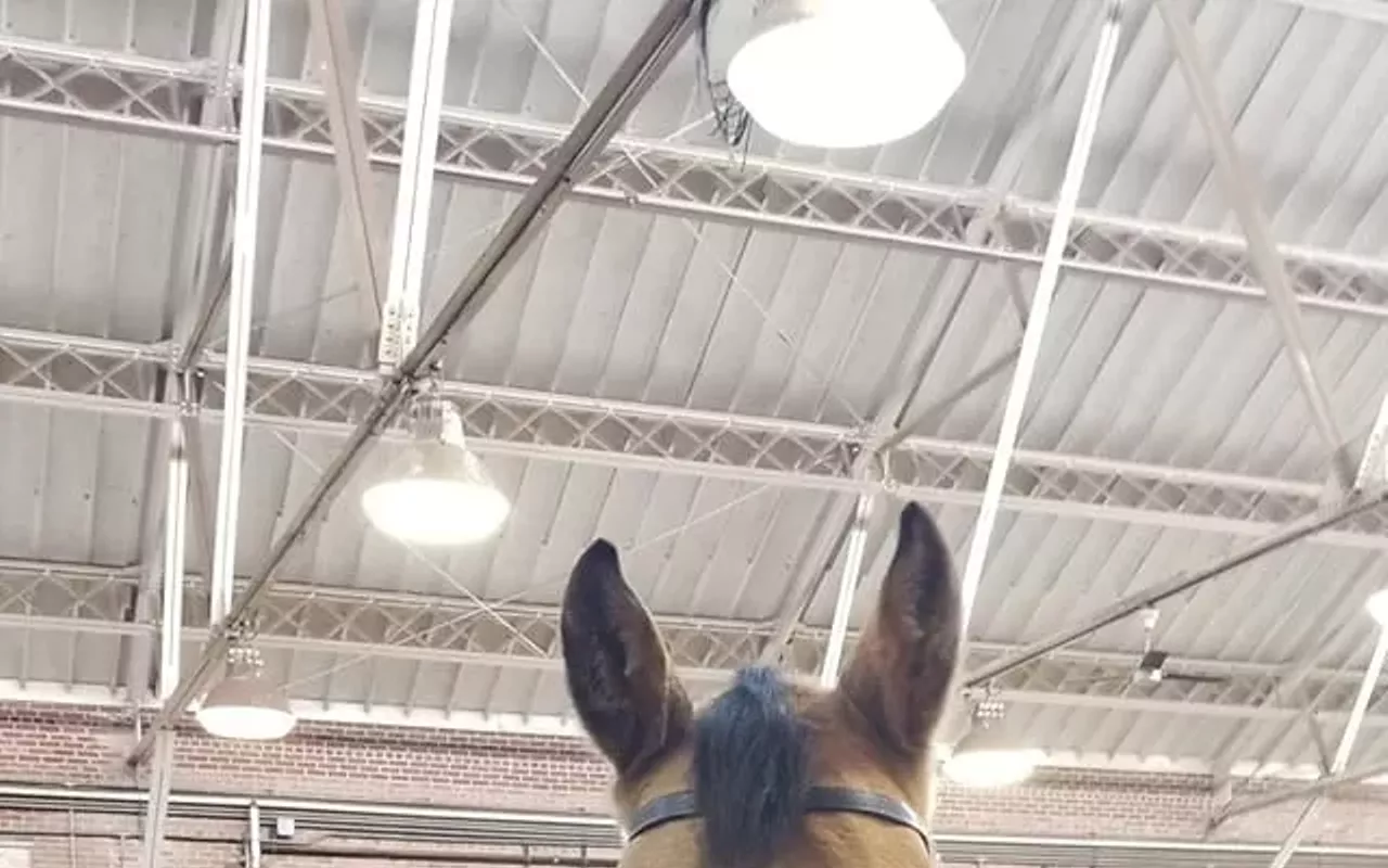 Image: Youth Charity Horse Show